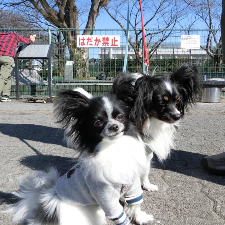 Ad759f43 7380 4817 9466 c7af5d288c67