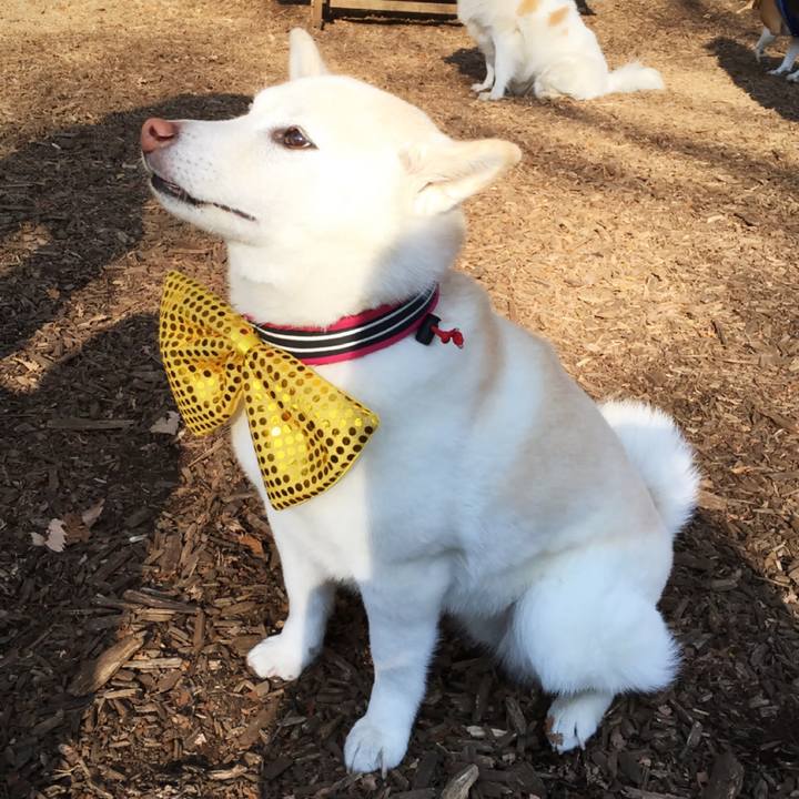 Ad75c570 6115 46d9 9993 eed16def8cb9