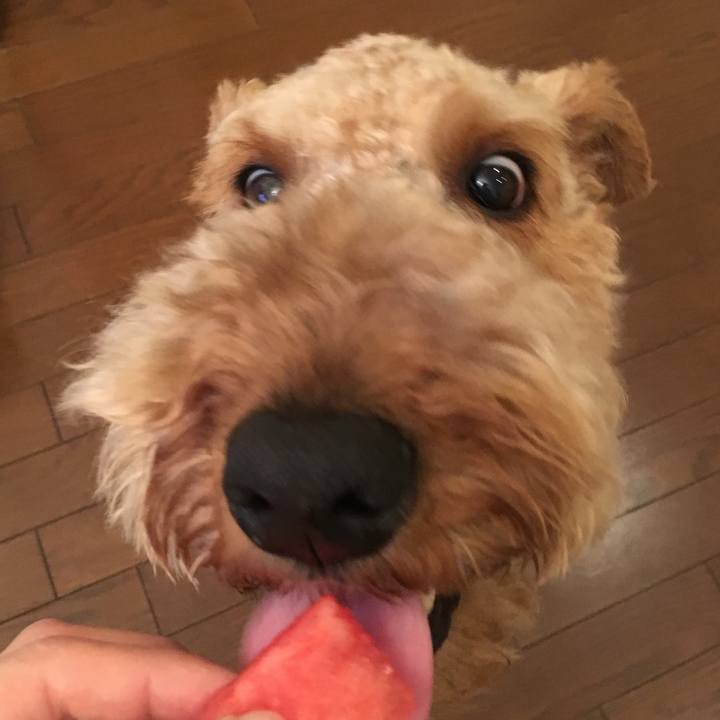 Ad75ed33 fc33 47b0 a416 f8d25e86faec