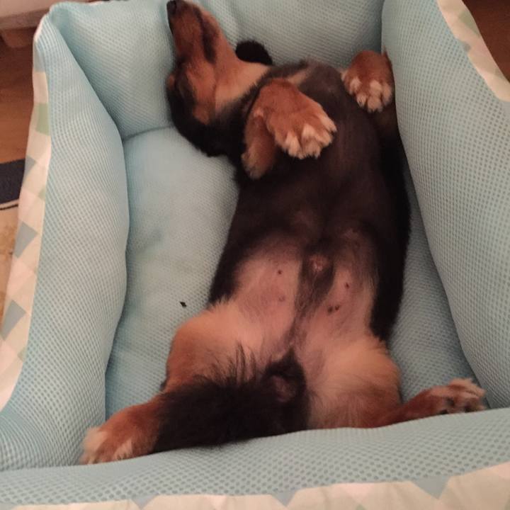 Ad7649d3 480d 4d18 b6a5 b732660bda18