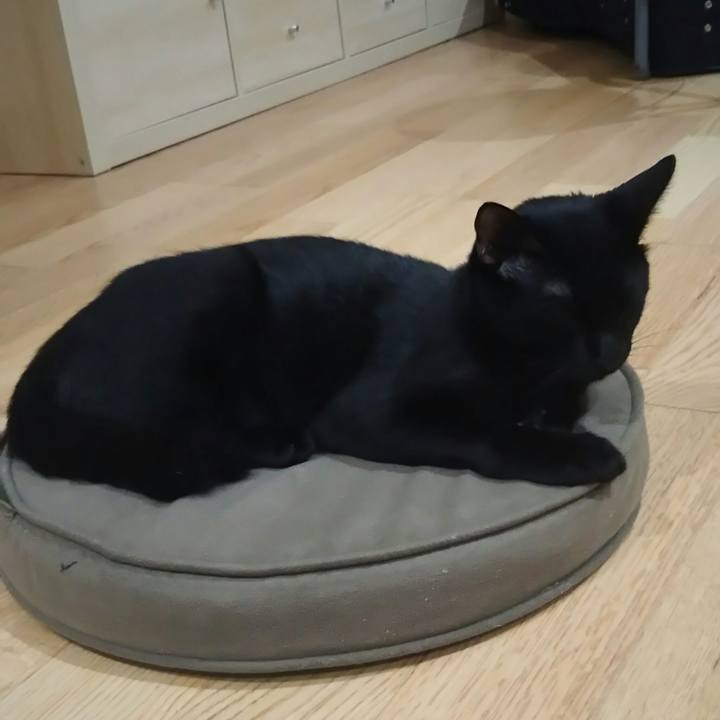 Ad76c10b 2984 403a 8a6e e947f2582eaa