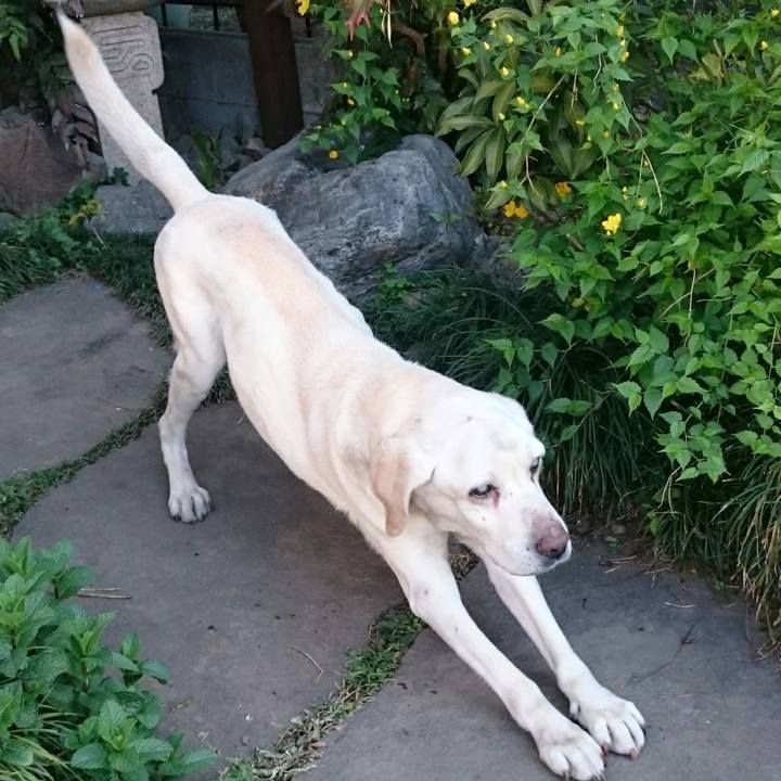 Ad7724fd f6c7 4727 94c5 327f8df7bad4