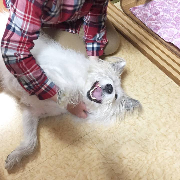 Ad77393d e792 4856 afee cdb4552afd15