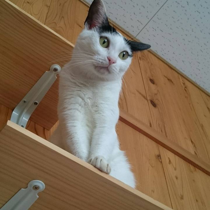 Ad77a8da b289 4632 84a5 aefd6661bd7b