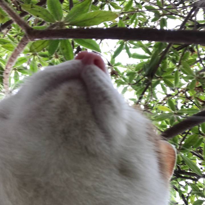 Ad7808cc e21d 4012 a08d 418fa89f1c6f