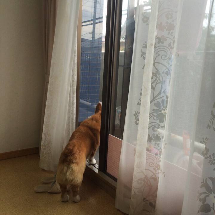 Ad78823f 06b6 4f16 856d 7aeca898c7ea