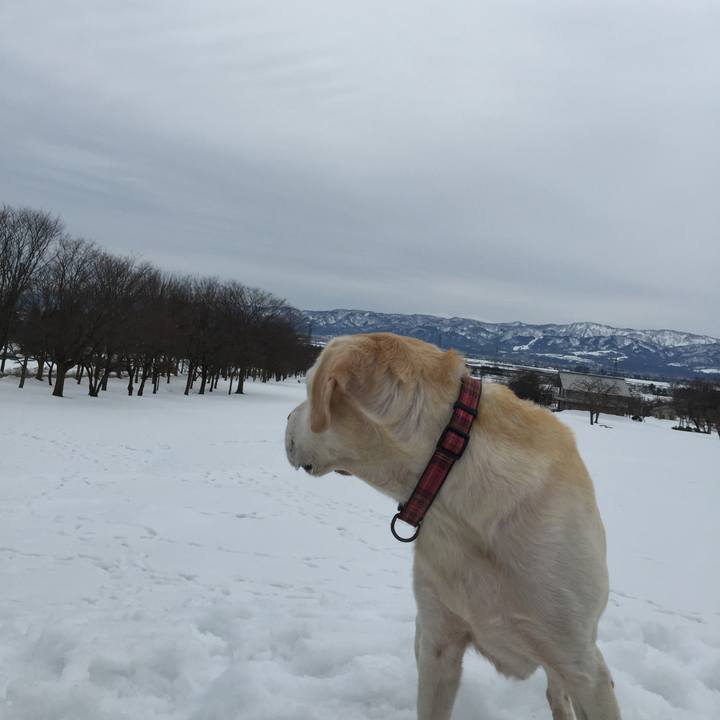 Ad78913c 1d03 421a a6e3 cda5ab64ef08