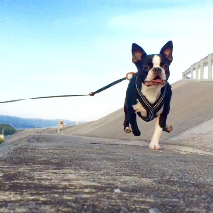 Ad790b0d 099a 419b 9455 7e5c220fcc47