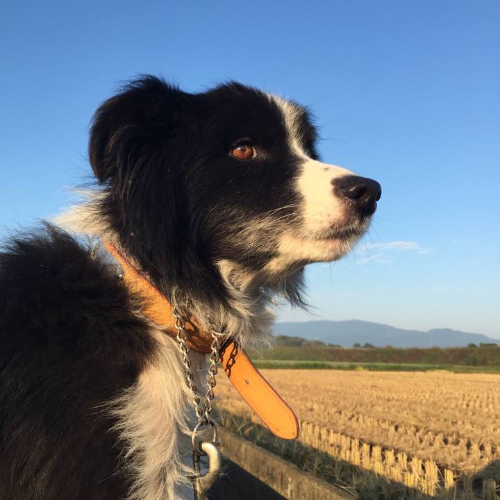 Ad793a93 4e30 46d3 b1bb fd28c4d701e3