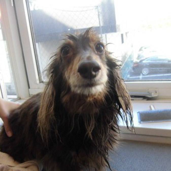 Ad796913 e742 4ecc bd17 4b20d35b631e