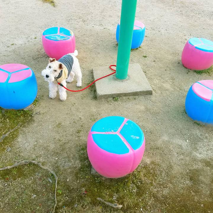 Ad79c112 3ad9 4235 be80 f4c7db8d8e50