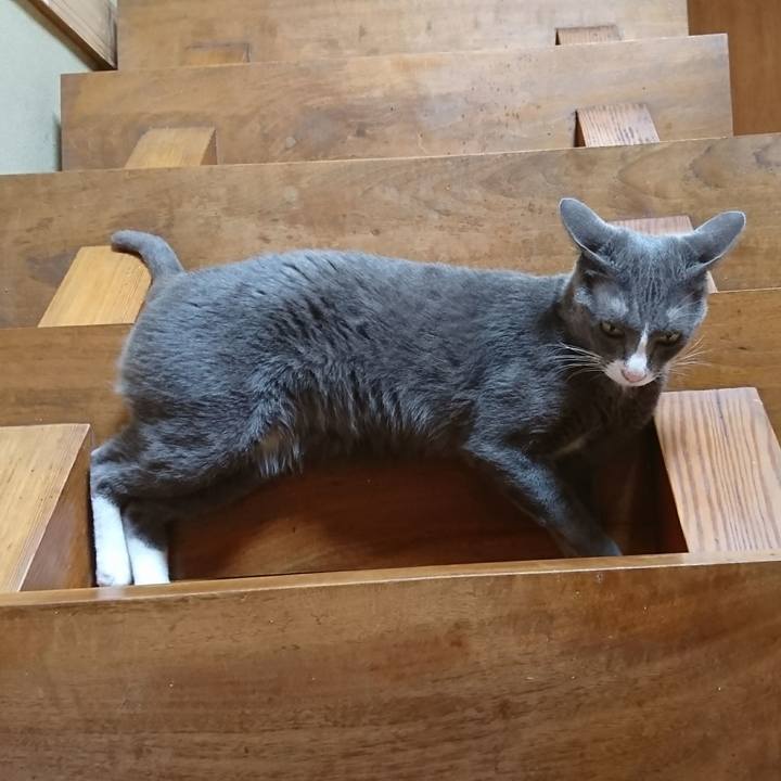 Ad7a3f30 7244 4f5d acfc 69acd381a4d3