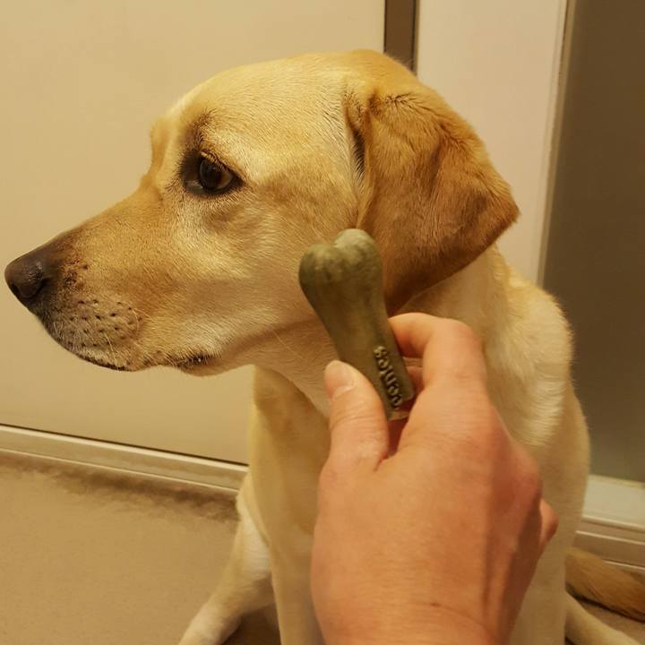 Ad7ab6df a653 4e74 9bce b901fb02ed89