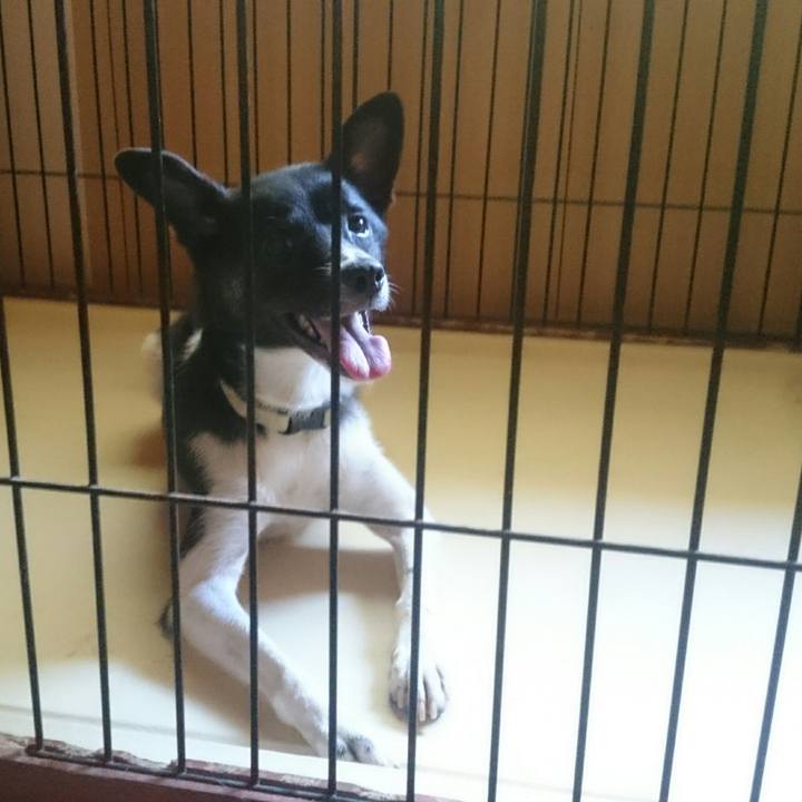 Ad7abb87 a1b1 4a7b 9365 44718ae80daf