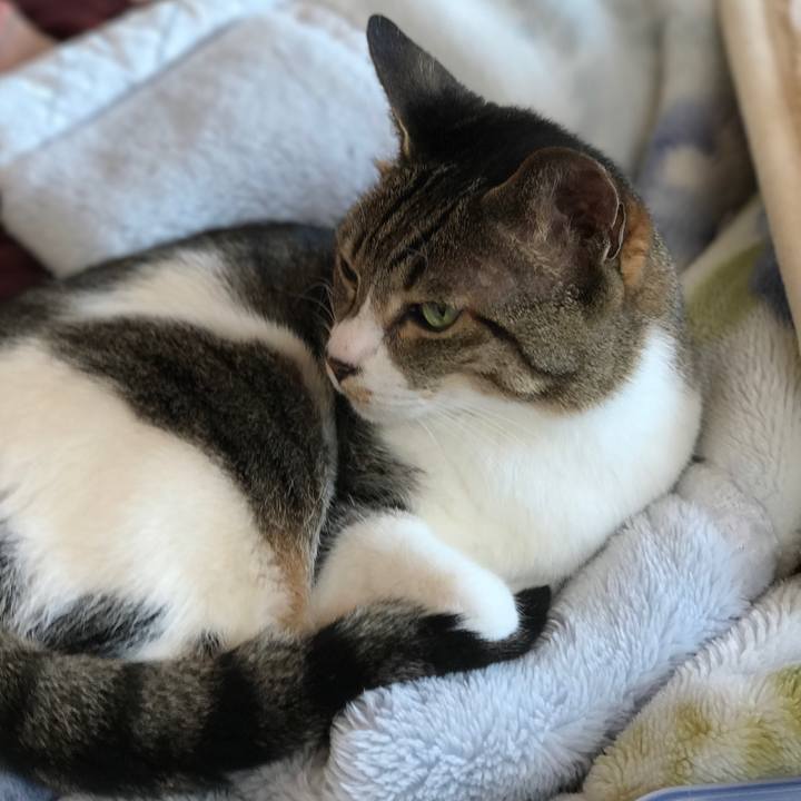 Ad7b03c0 01ec 4136 b394 f8763ef88e67