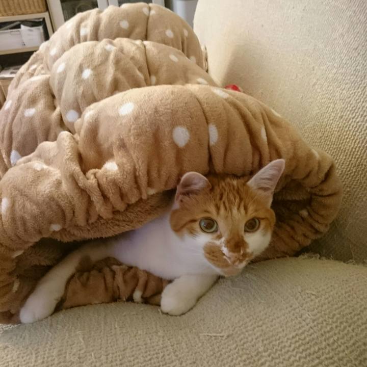 Ad7b0d55 add8 474f b580 939c3f5593a5