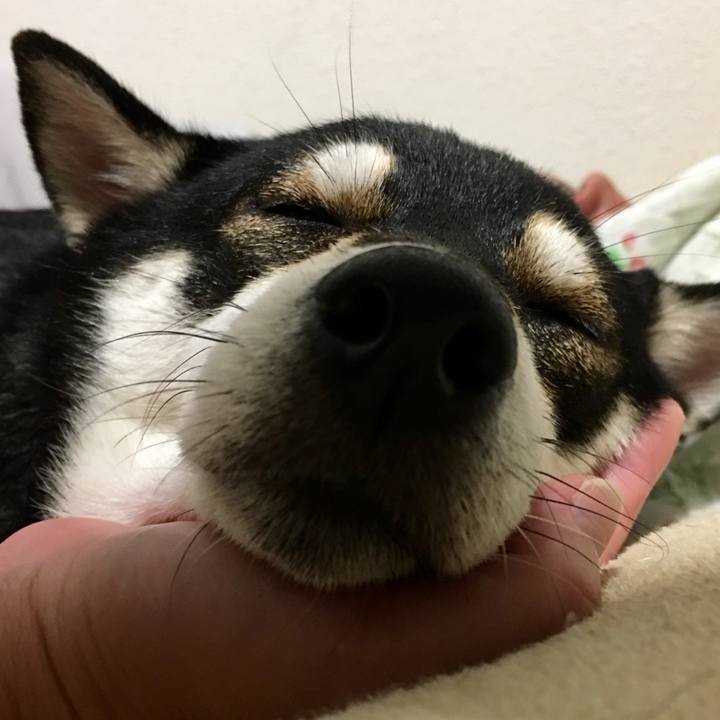 Ad7b1a54 3717 40d8 b01d 5a437bcd0566