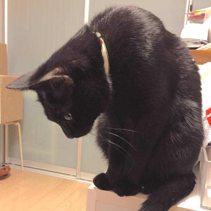 Ad7bbfaa 9449 4263 945f 46c727e91033