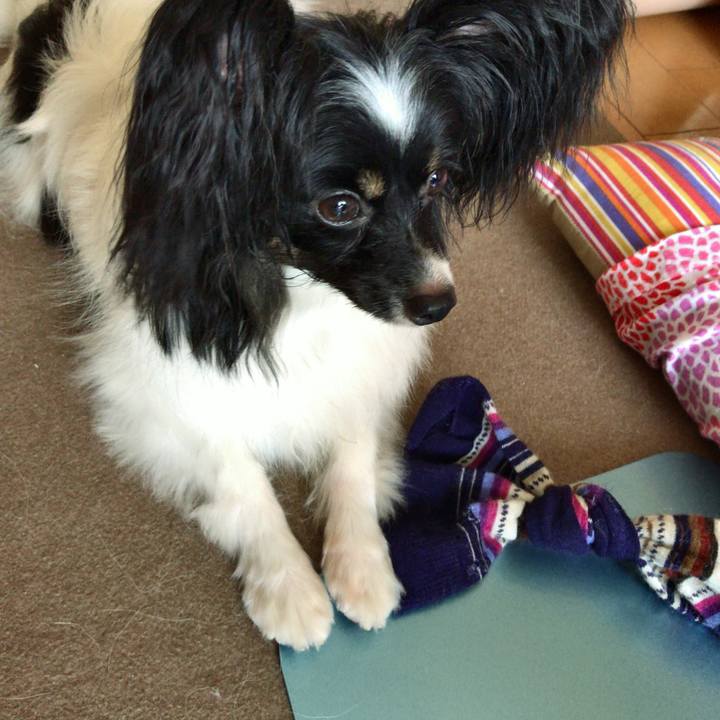 Ad7c084b a57e 44c4 94a3 7a32c2187525