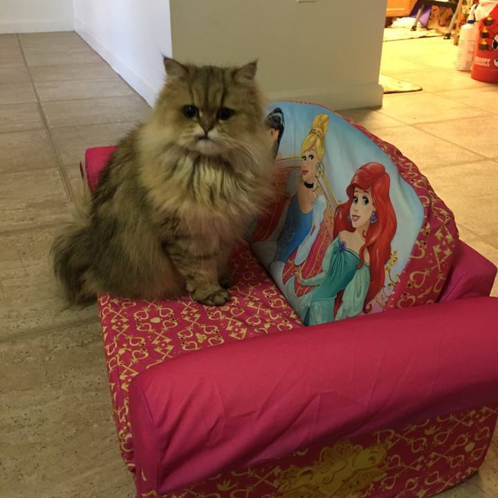 Ad7ce86f ca0a 4f85 9cdd 656b87052e56