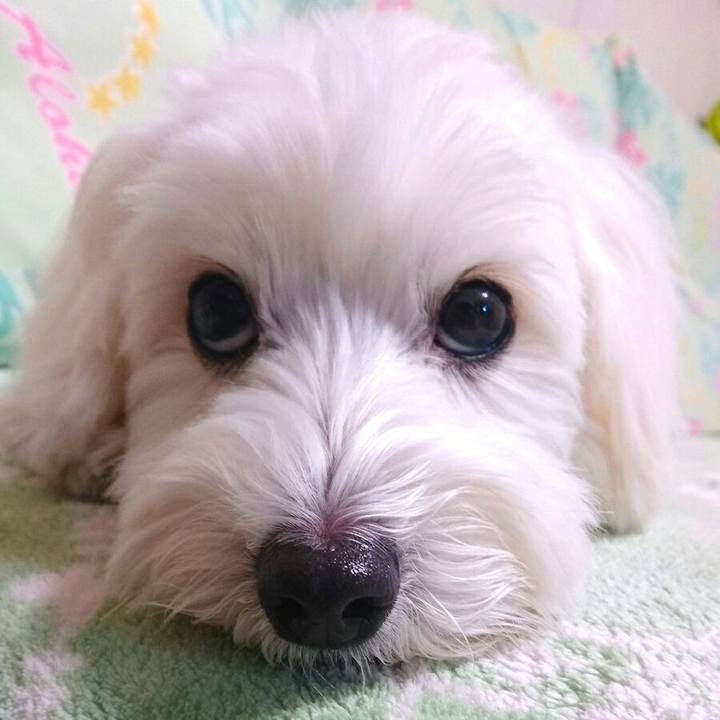 Ad7e5d7e f073 4041 addc 0abc57dc9f68