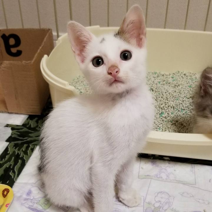 Ad7e65fc ca78 4c41 9654 adee9ae4d52e