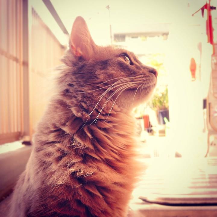 Ad7ee068 5c91 4c80 9ade e571ca1f71e5