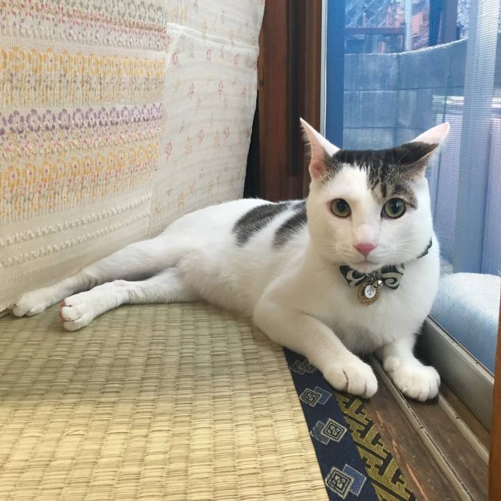 Ad7faa61 5444 4b2f 81d9 77c64d63f7f2