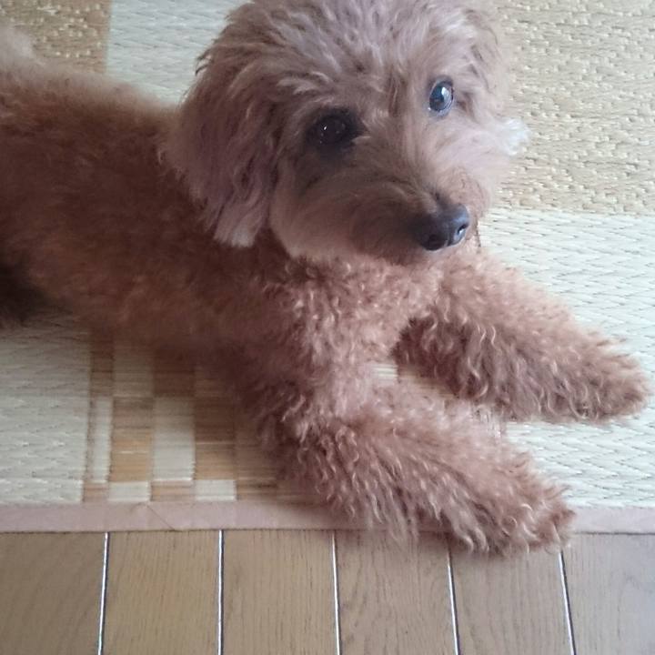 Ad80495d 7a30 4acd 8c47 cca298e529b6