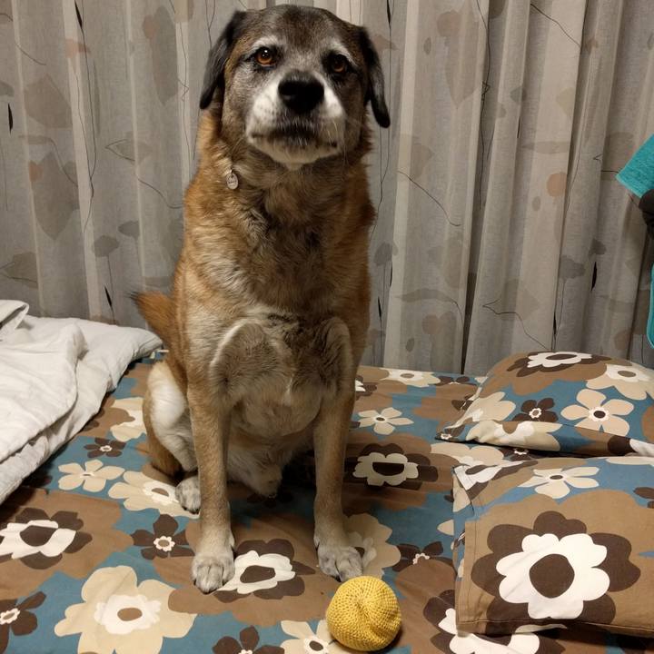 Ad807de0 8d87 42a7 b31a 7c4ed08a7d7d