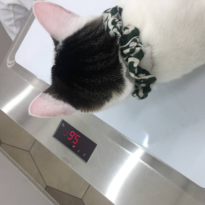 Ad80995f 7d91 4787 870e 5167f22e91c7