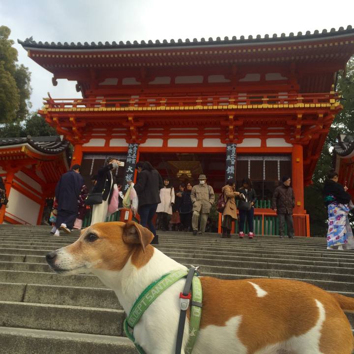 Ad80a4f0 3085 46c4 8588 e733e03673b2