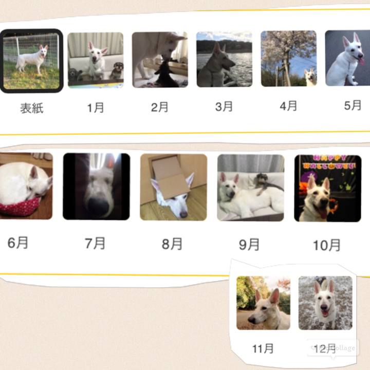 Ad80b53e f668 4a26 9868 6749f0e9fcee