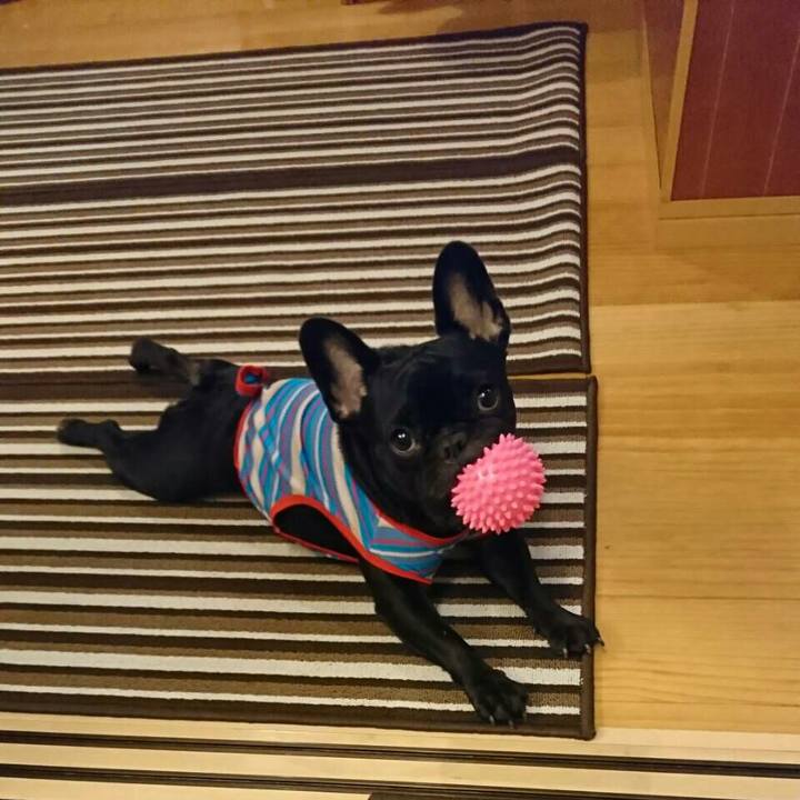 Ad80cea6 c0cf 4a3f b1d1 74161b20f045