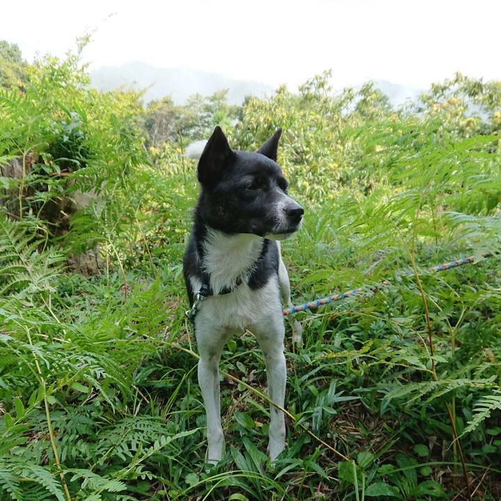 Ad816204 2a9f 4adf 8ad0 a6115300724a