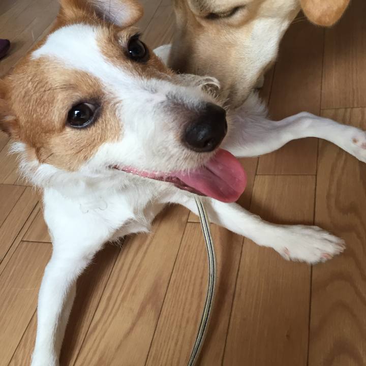 Ad81fd26 1d3d 48c2 8412 80301338304f