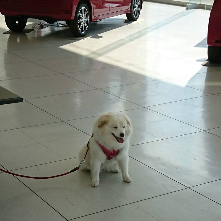 Ad8235d0 36d6 4ec2 bd1b 7d1f76479574