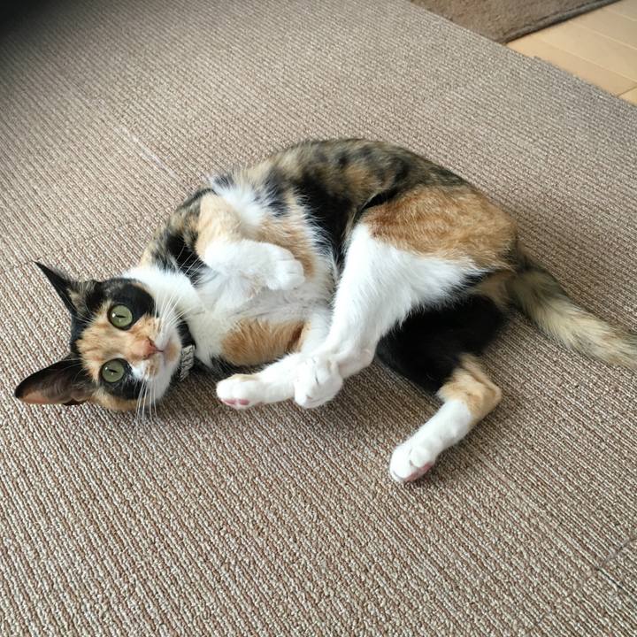 Ad824d1e d370 470a 8092 91078449e586