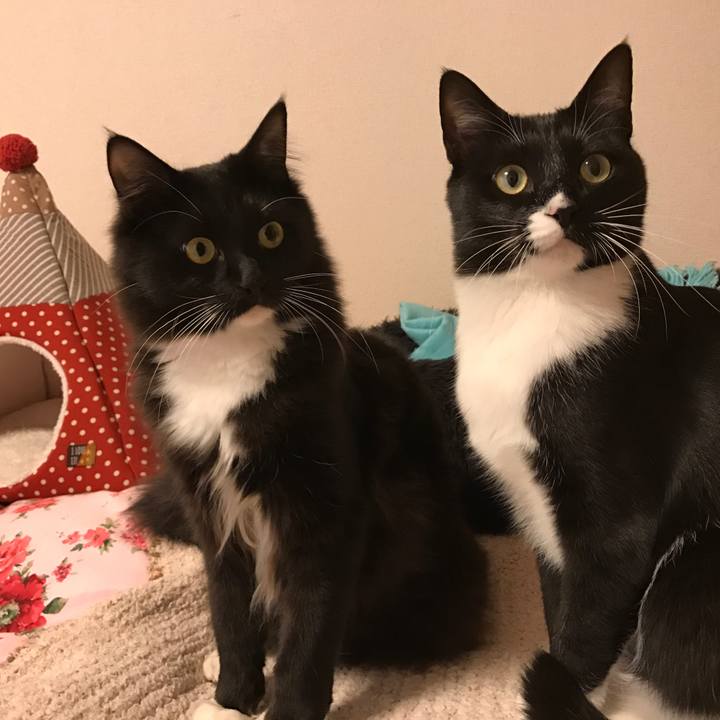 Ad825b3a f1e6 4e8d 970e 9f0c61dd31ff