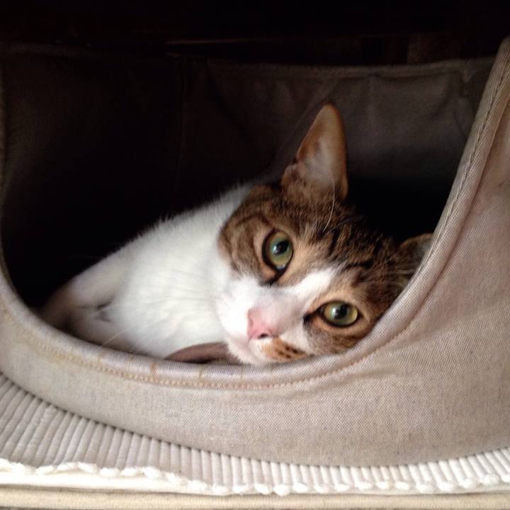 Ad82b230 7018 41e6 8362 8ca2f50dda43