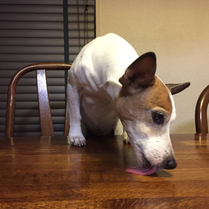 Ad82db00 a559 4c96 9b16 fae8a9f056ca