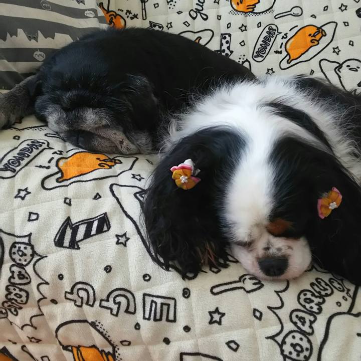 Ad82ddc2 7a4c 4216 8b1b 6a998b1a0a0b