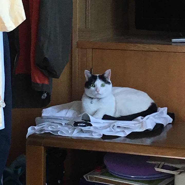 Ad830e31 ef7c 41c4 ab5f b1e576bfba71