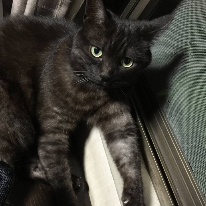 Ad832a53 754c 4224 bfe0 2a24bcbd8e69