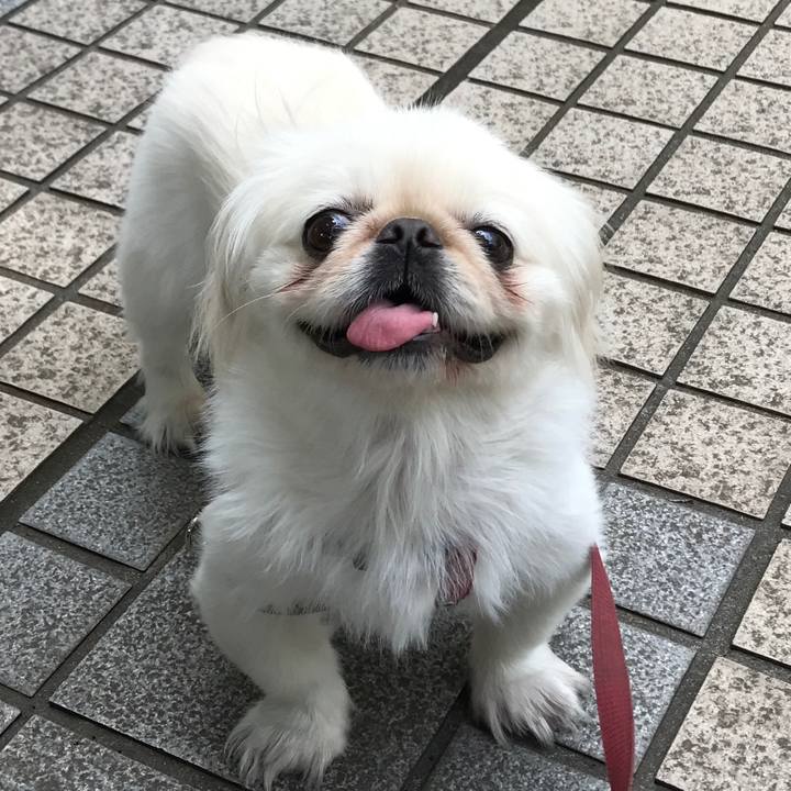 Ad838f8f e4af 439f 95ac 15e4f5334881