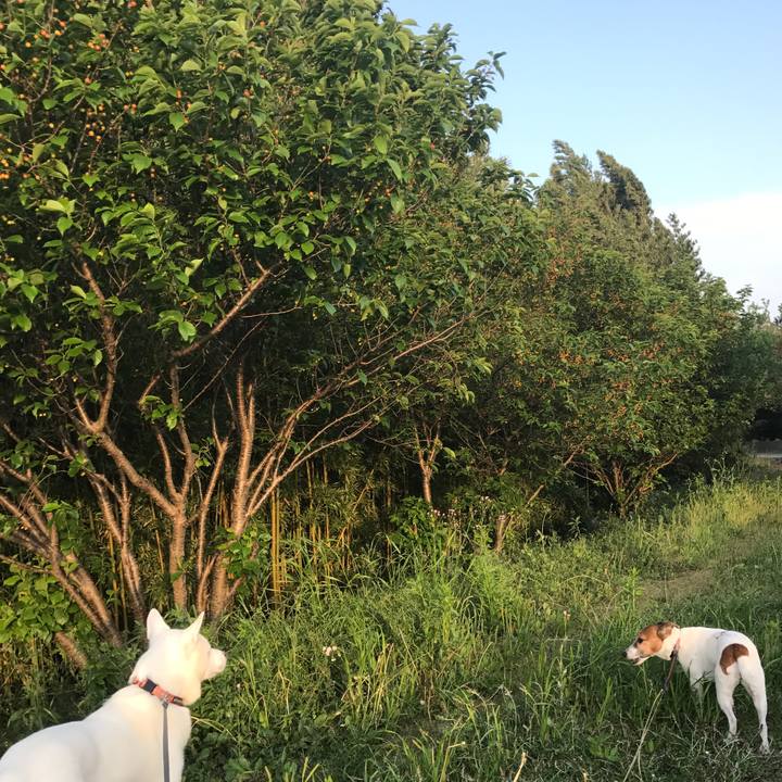 Ad849fc6 ef21 4835 8485 47ec3c10eb44