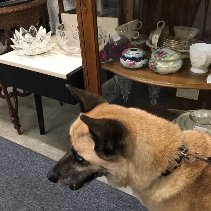 Ad84ae58 4760 4bd7 88ca cc2a74295e25