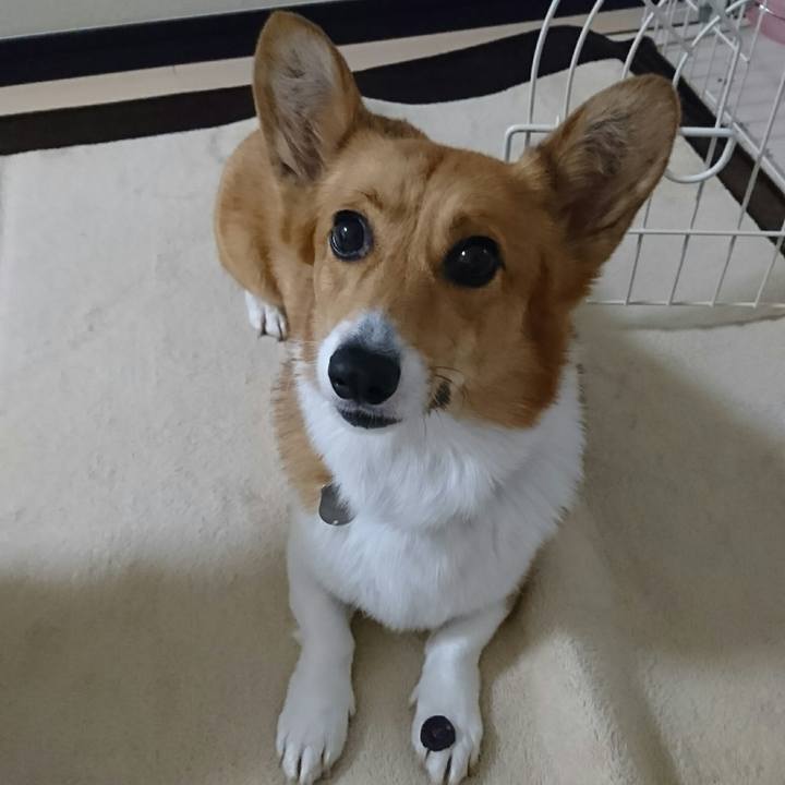 Ad84d8bb 98d7 44b1 8b8b 497f8526dc03