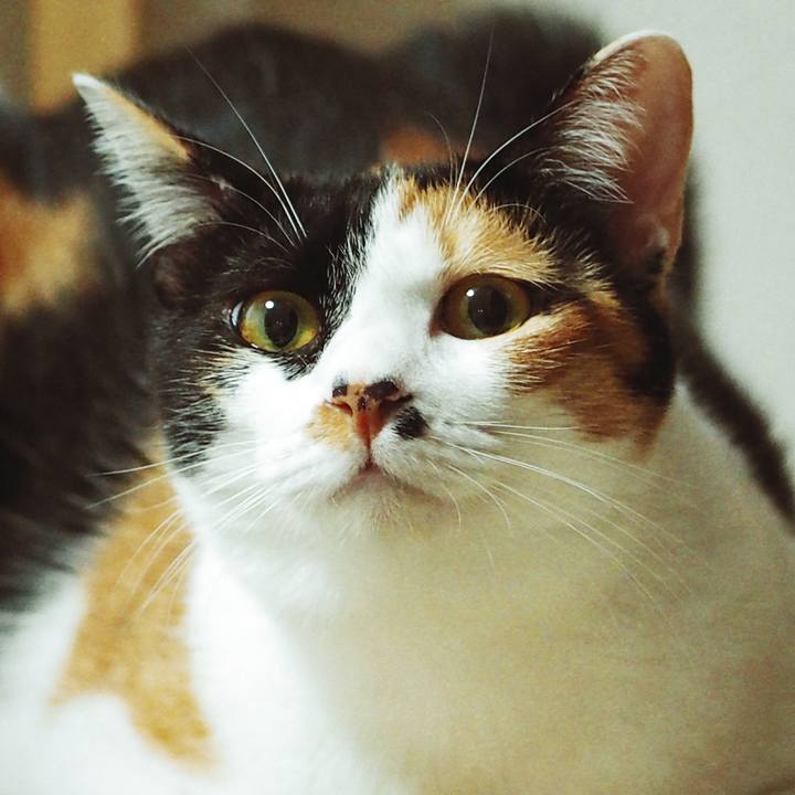 Ad857bc1 6dd3 496c 9f3a c6f9c2ee81e1