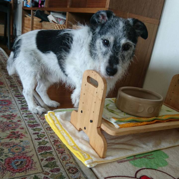 Ad85ae6a 115a 4253 9acc 9e651bf490bd